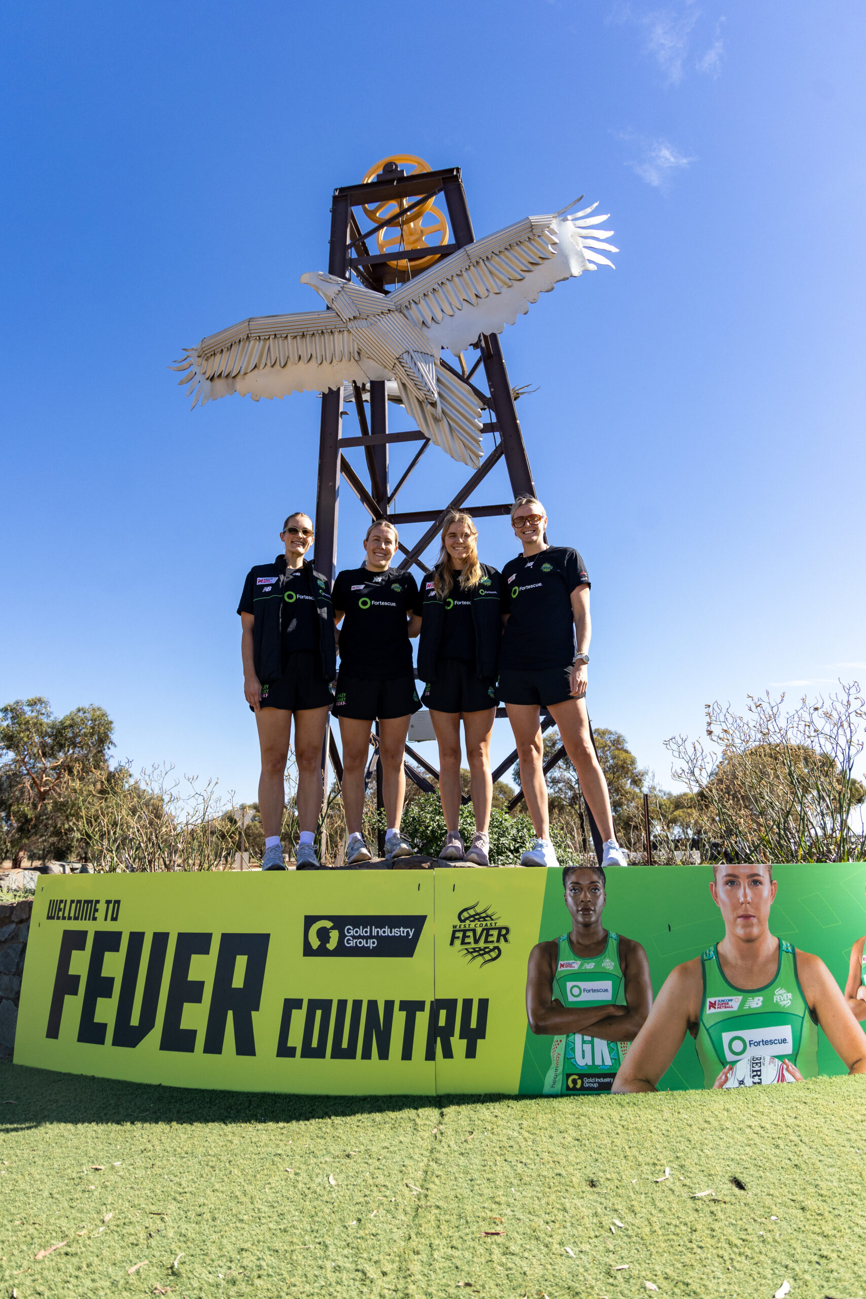 Fever in the Heart of Gold