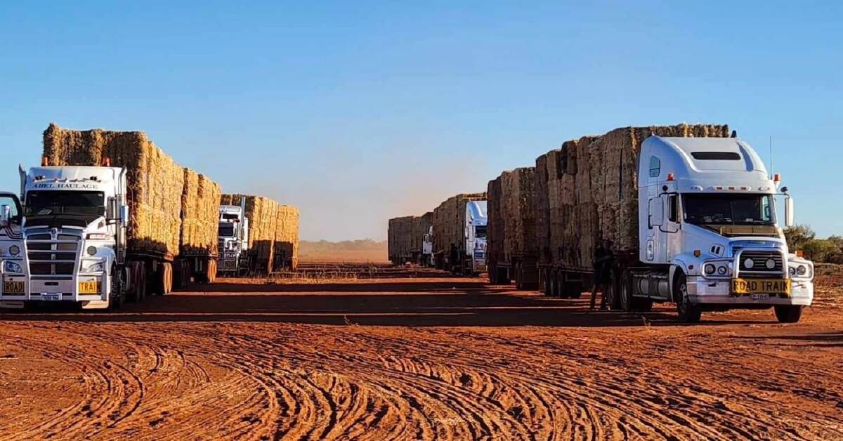 When hay is gold: Gold Industry Group commits $75,000 for drought-hit WA farmers